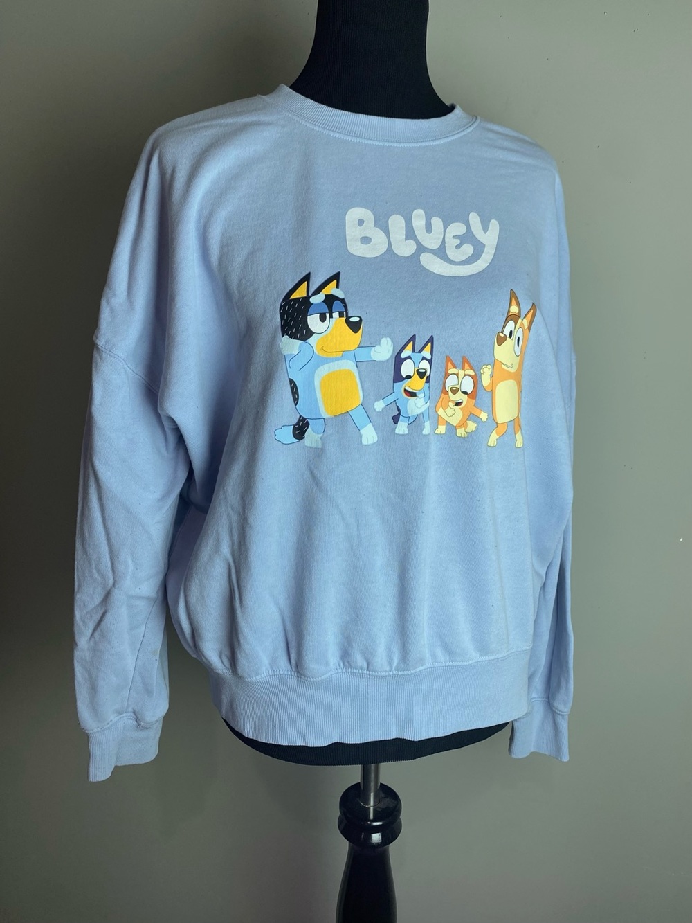 Bluey Crewneck Sweatshirt - Light Blue